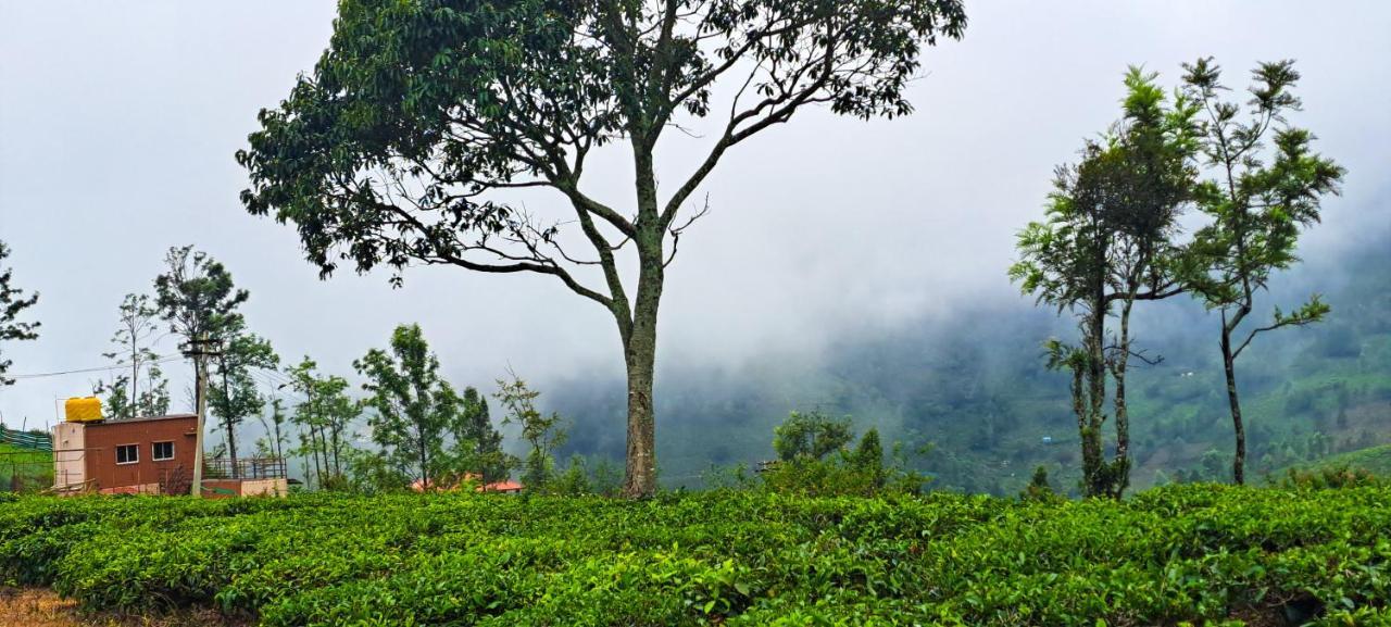 Ghar - Homestay, Where Family Lives Together Aravankādu المظهر الخارجي الصورة