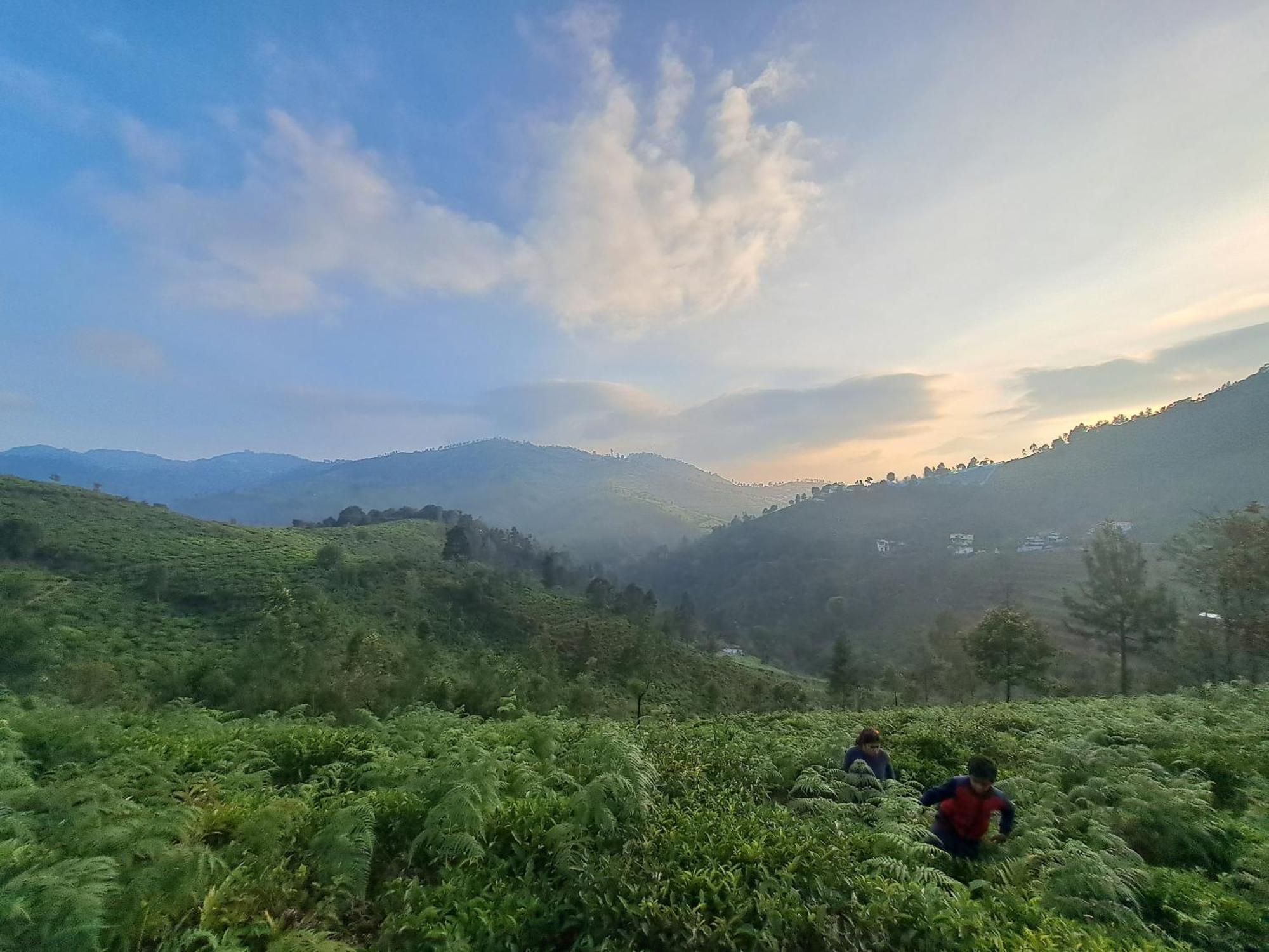 Ghar - Homestay, Where Family Lives Together Aravankādu المظهر الخارجي الصورة