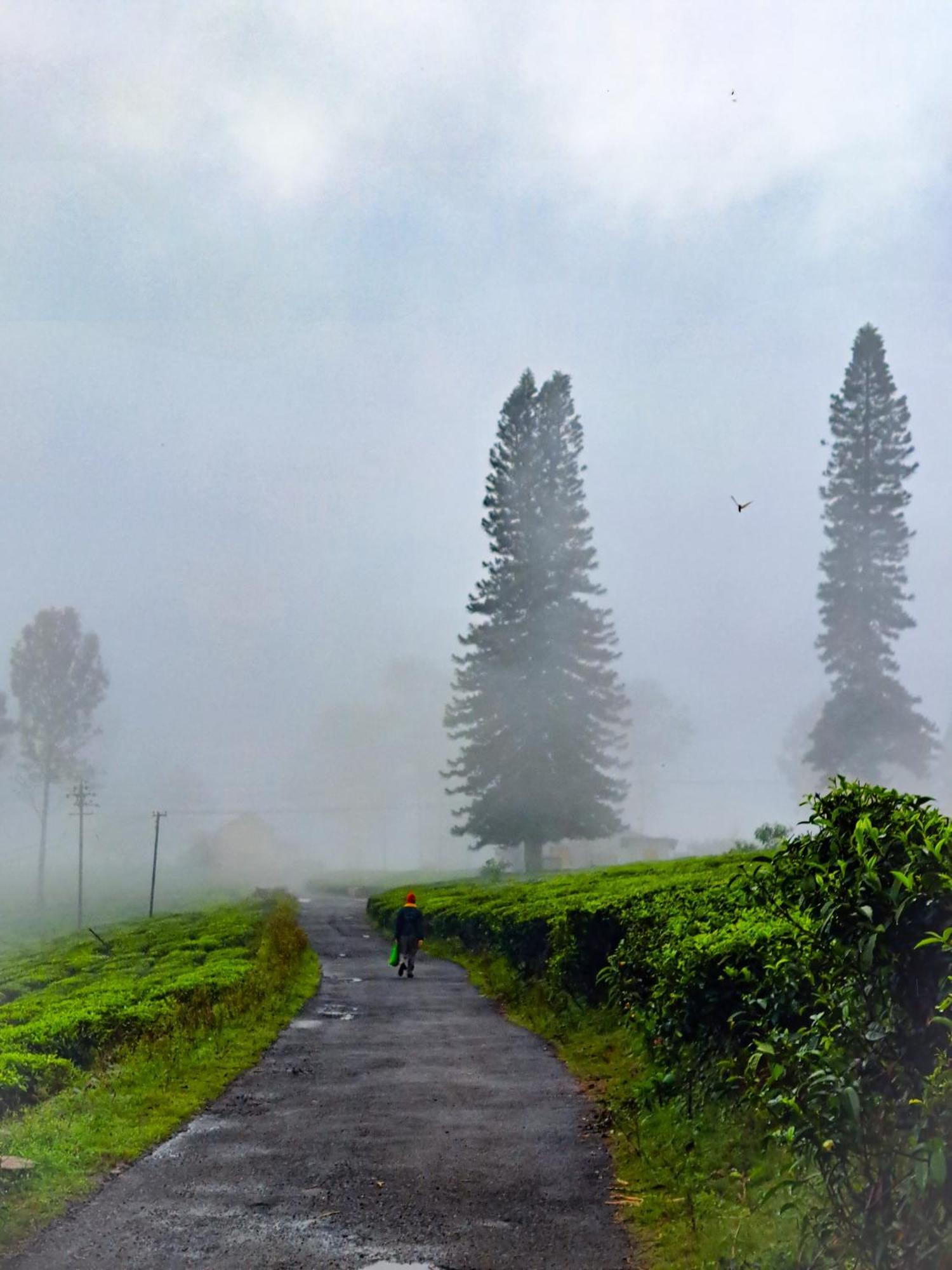 Ghar - Homestay, Where Family Lives Together Aravankādu المظهر الخارجي الصورة