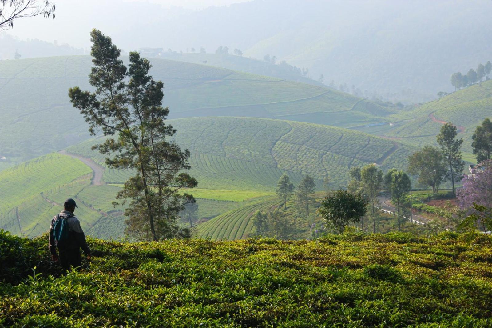 Ghar - Homestay, Where Family Lives Together Aravankādu المظهر الخارجي الصورة