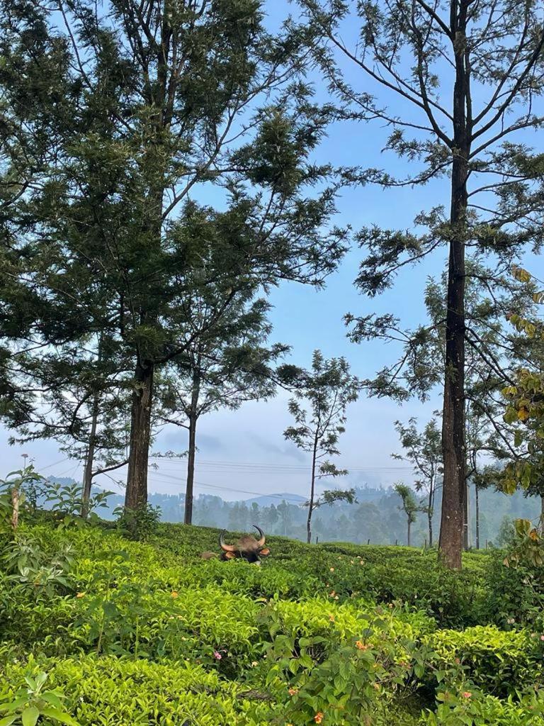 Ghar - Homestay, Where Family Lives Together Aravankādu المظهر الخارجي الصورة