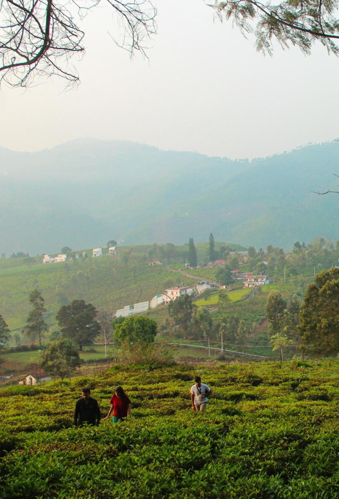 Ghar - Homestay, Where Family Lives Together Aravankādu المظهر الخارجي الصورة
