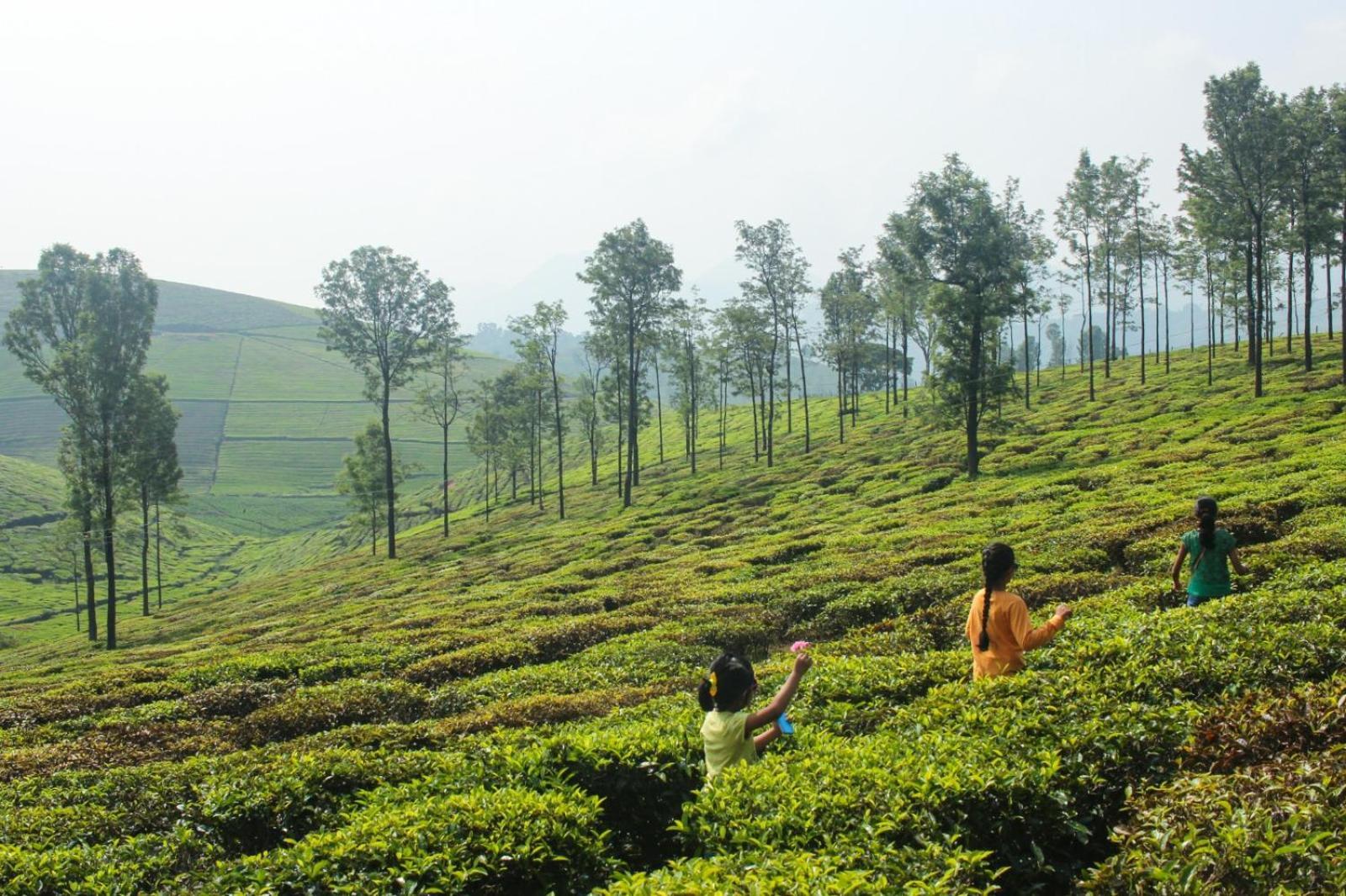Ghar - Homestay, Where Family Lives Together Aravankādu المظهر الخارجي الصورة