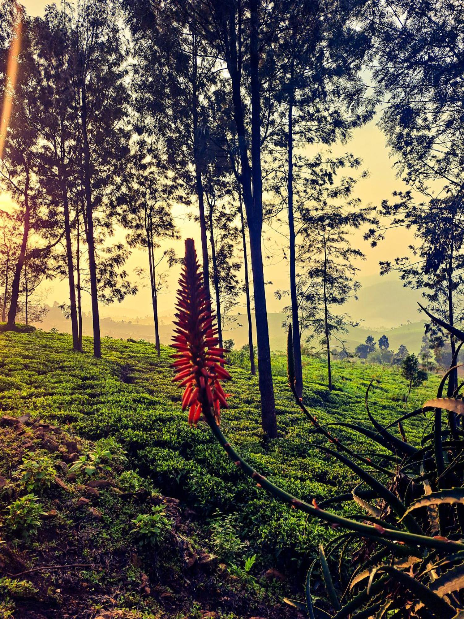 Ghar - Homestay, Where Family Lives Together Aravankādu المظهر الخارجي الصورة